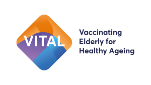 Vital-Imi